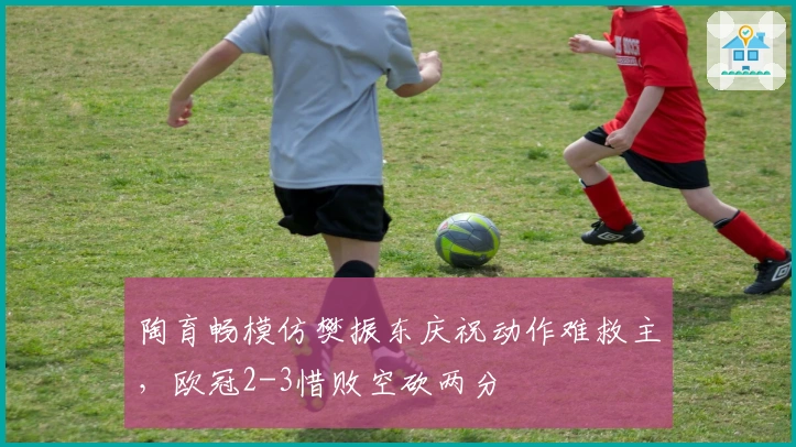 陶育畅模仿樊振东庆祝动作难救主，欧冠2-3惜败空砍两分